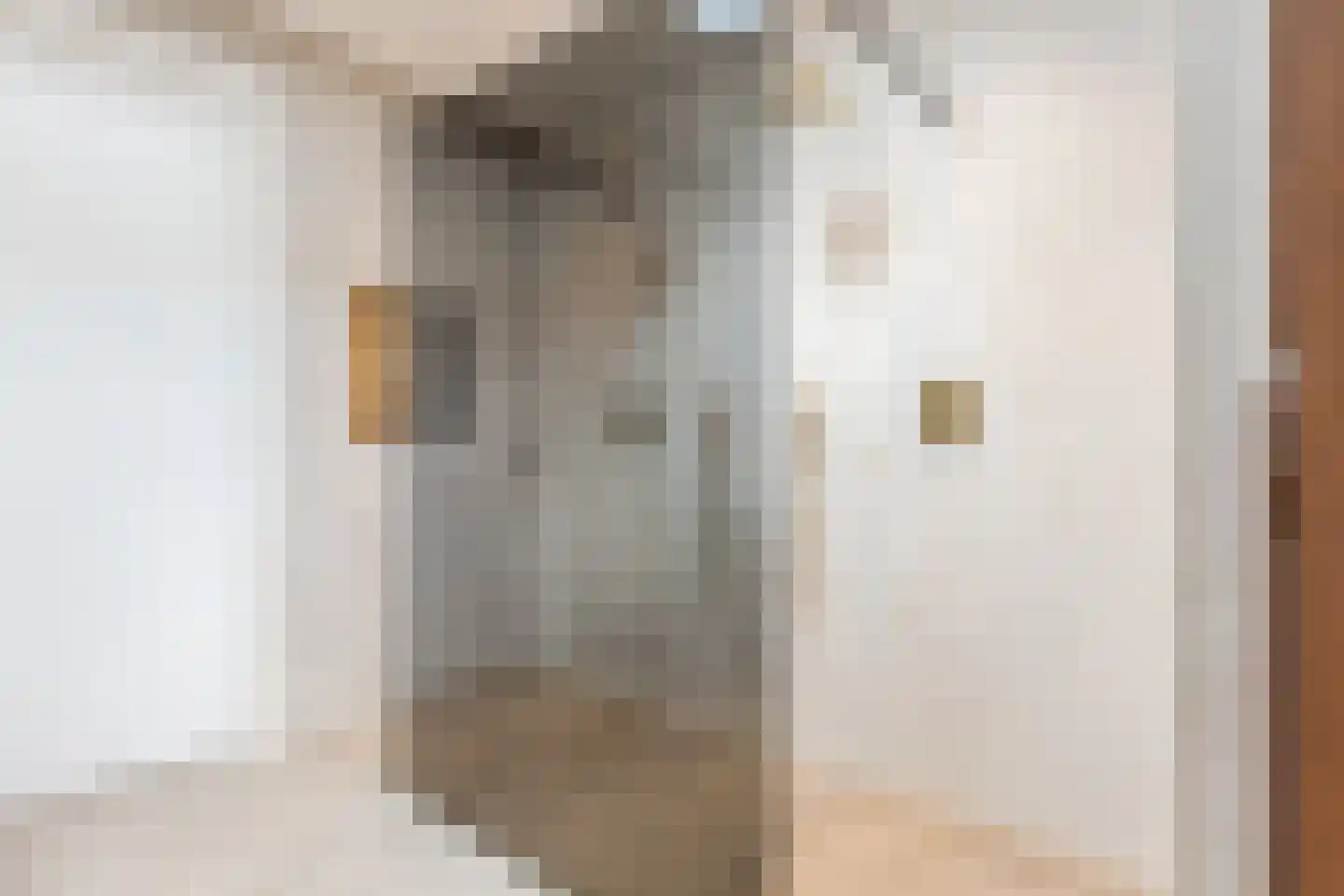 Groenewoudstraat 29 Tilburg thumbnail 31