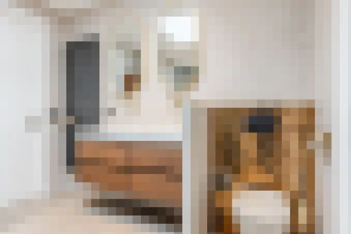 Groenewoudstraat 29 Tilburg thumbnail 33