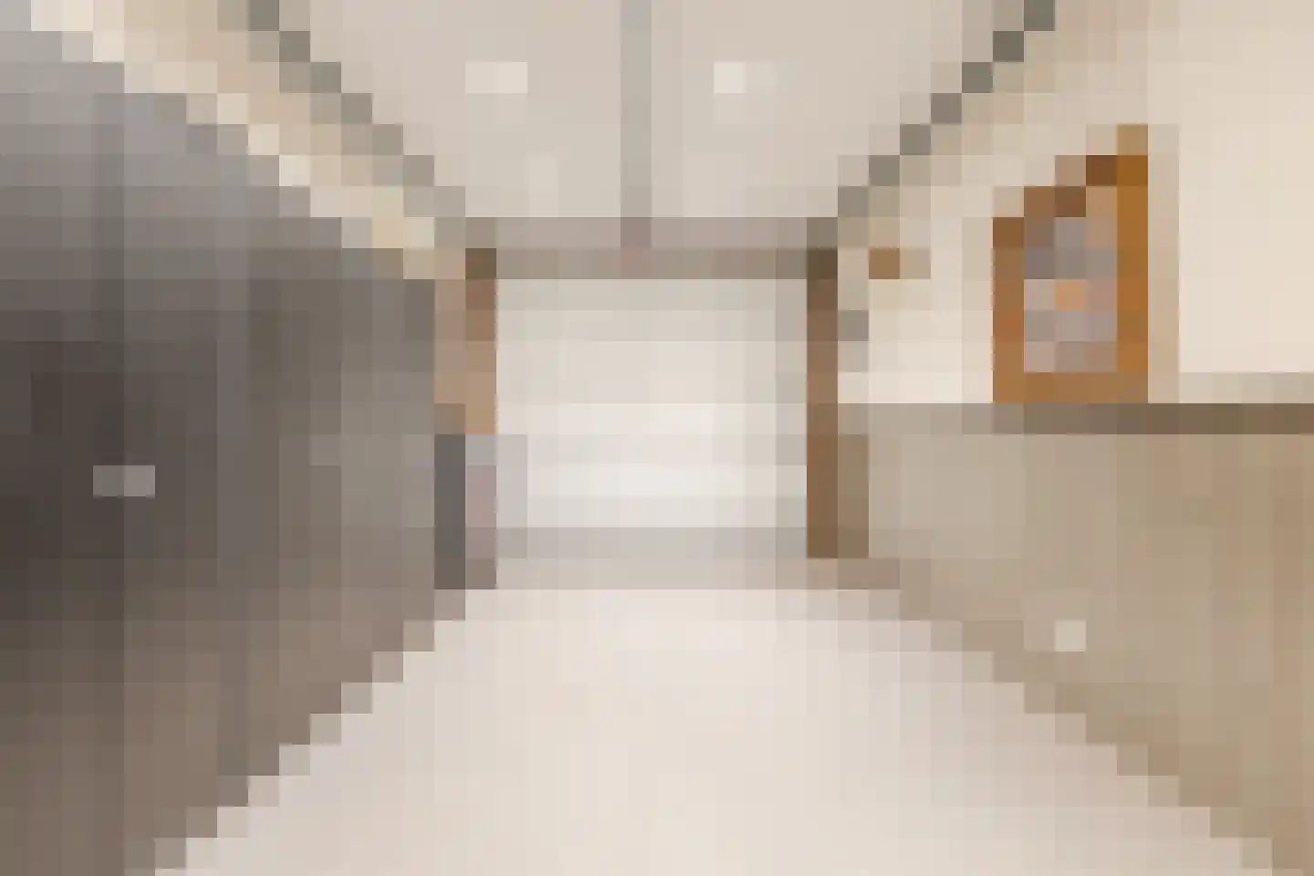 Groenewoudstraat 29 Tilburg thumbnail 35