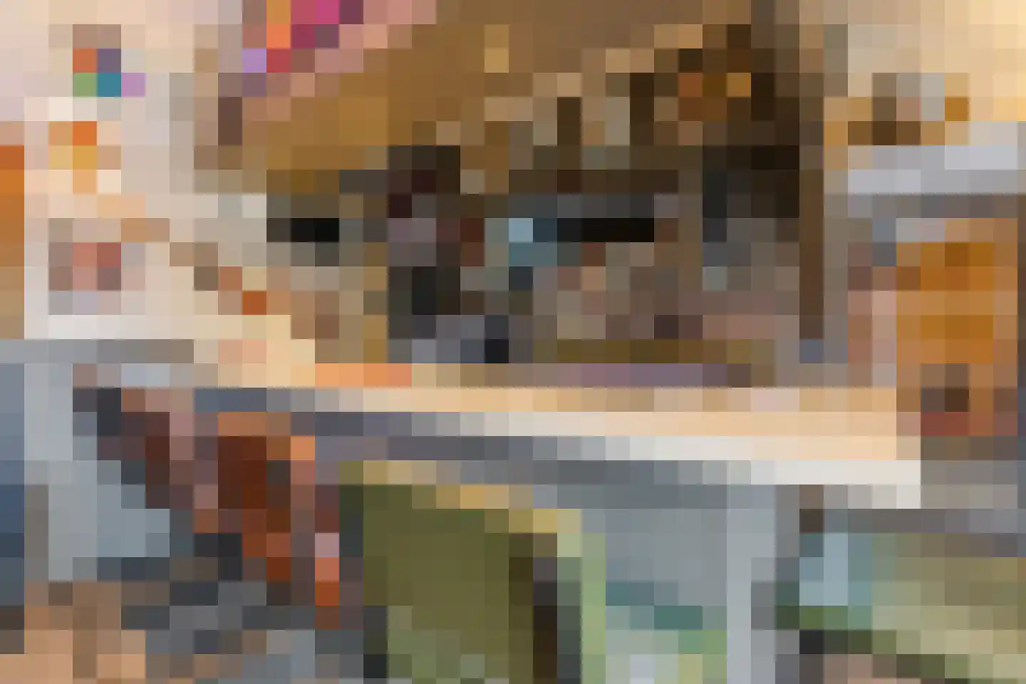 Groenewoudstraat 29 Tilburg thumbnail 39