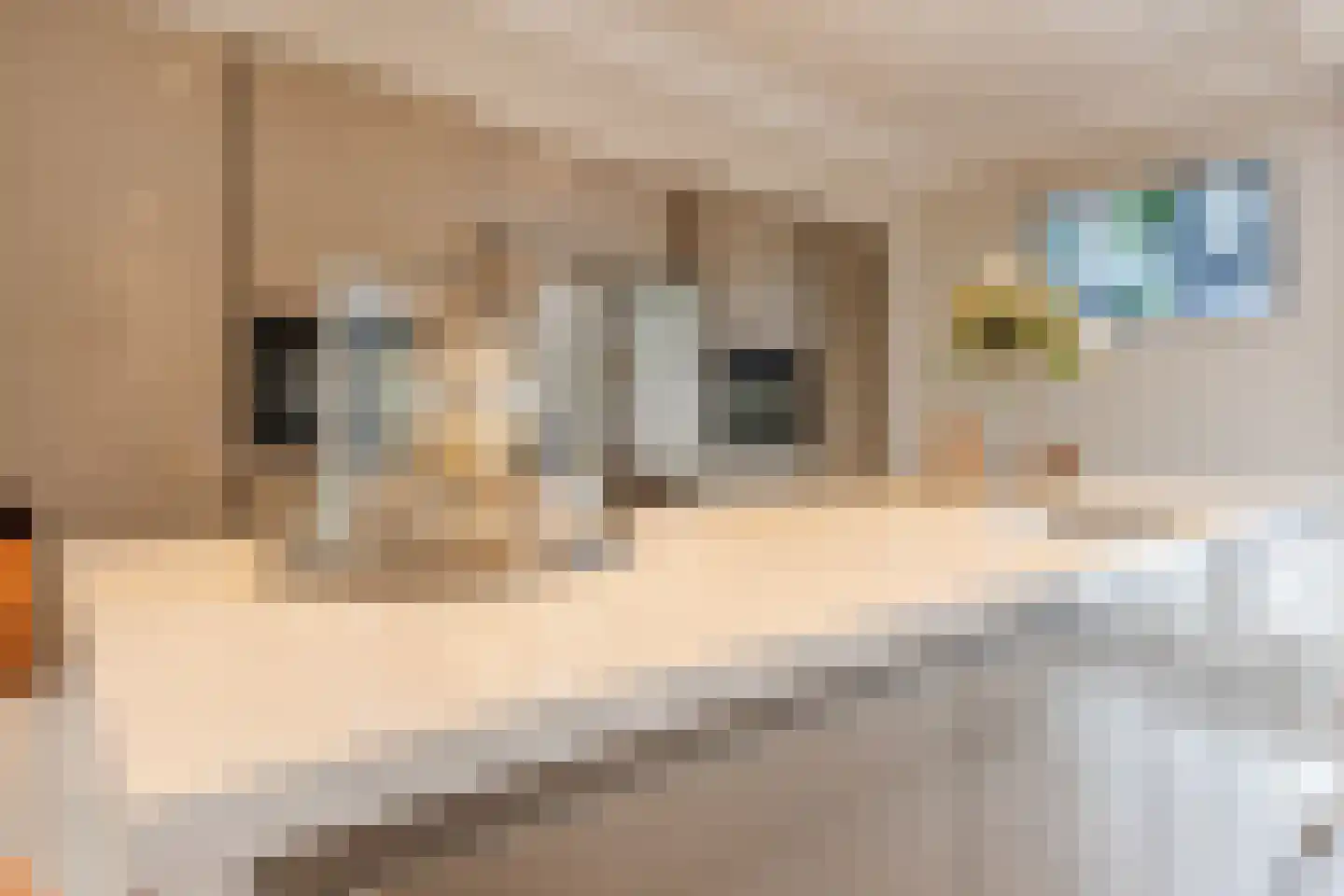 Groenewoudstraat 29 Tilburg thumbnail 4