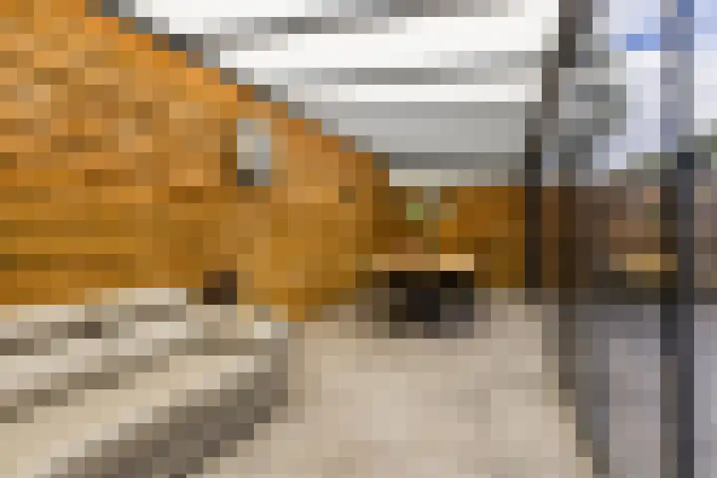 Groenewoudstraat 29 Tilburg thumbnail 45