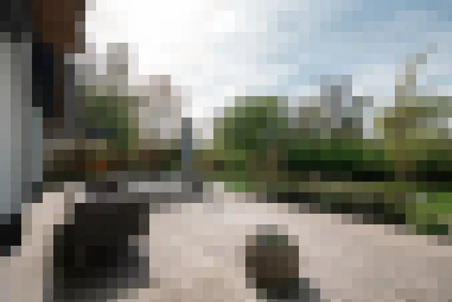 Groenezoom 1 D Badhoevedorp thumbnail 21