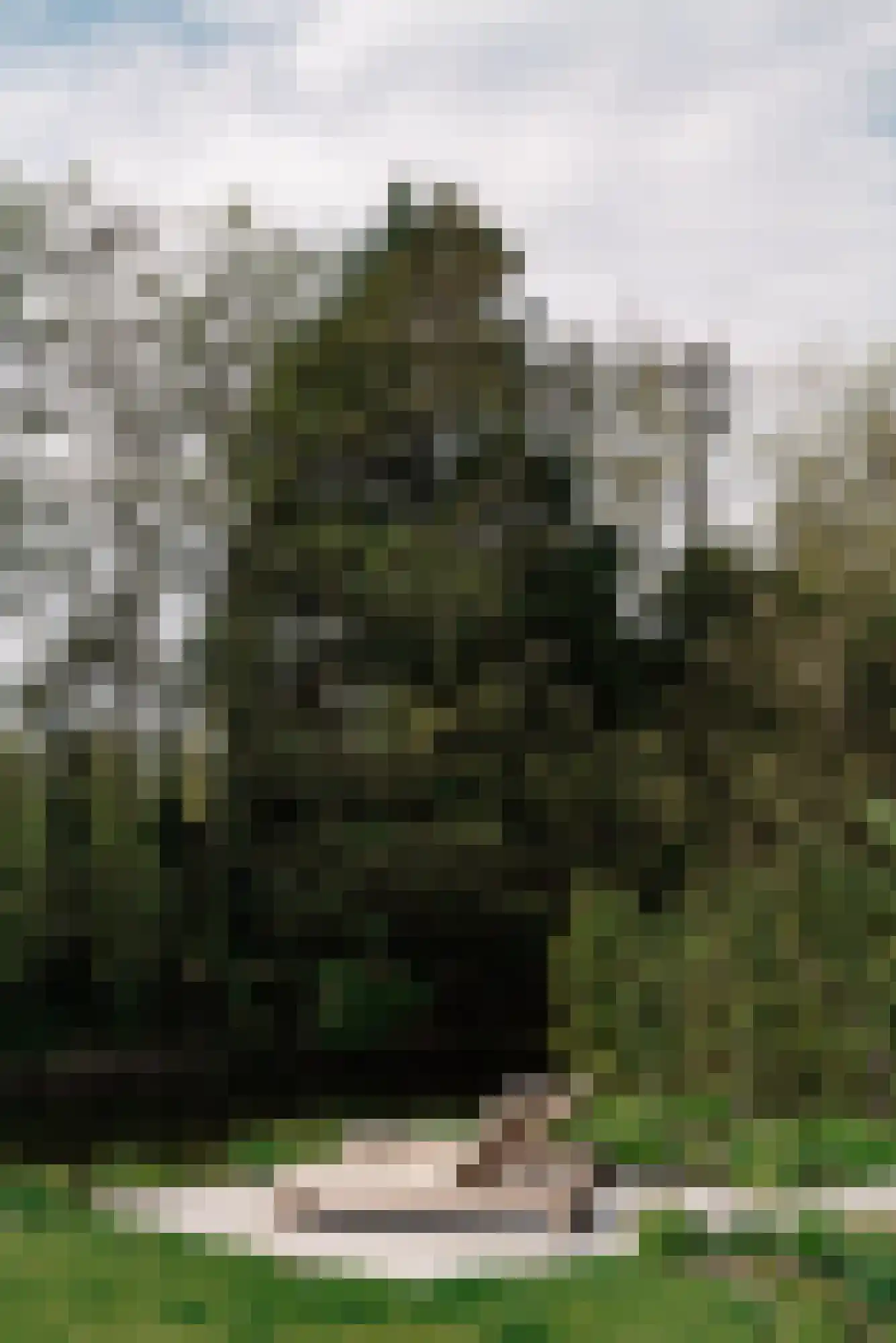 Groenezoom 1 D Badhoevedorp thumbnail 22