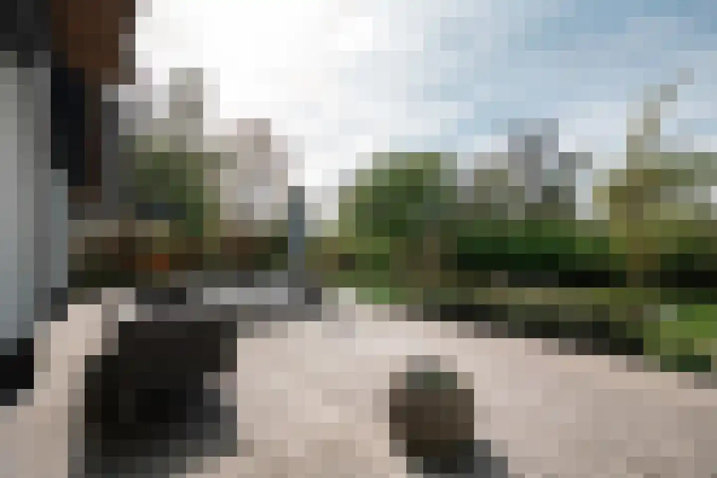 Groenezoom 1 D Badhoevedorp thumbnail 23