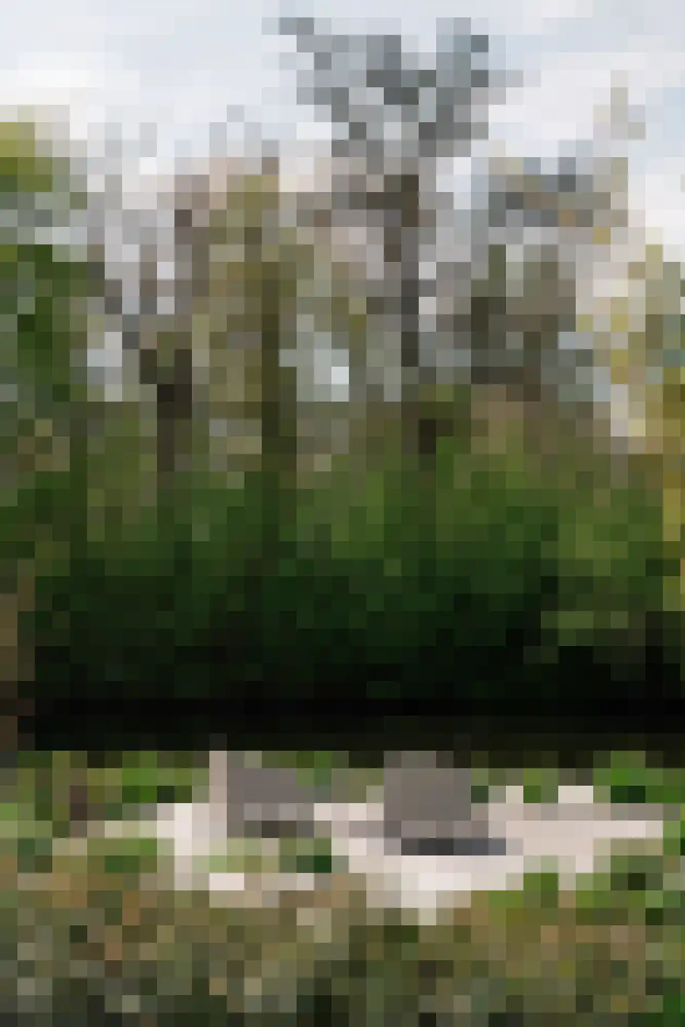Groenezoom 1 D Badhoevedorp thumbnail 26