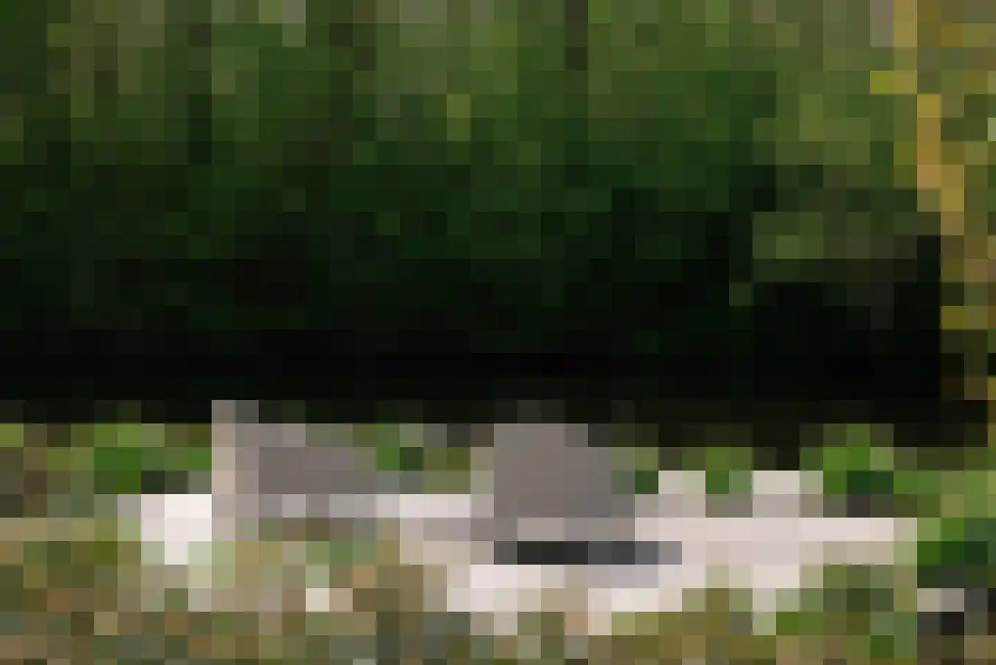 Groenezoom 1 D Badhoevedorp thumbnail 28