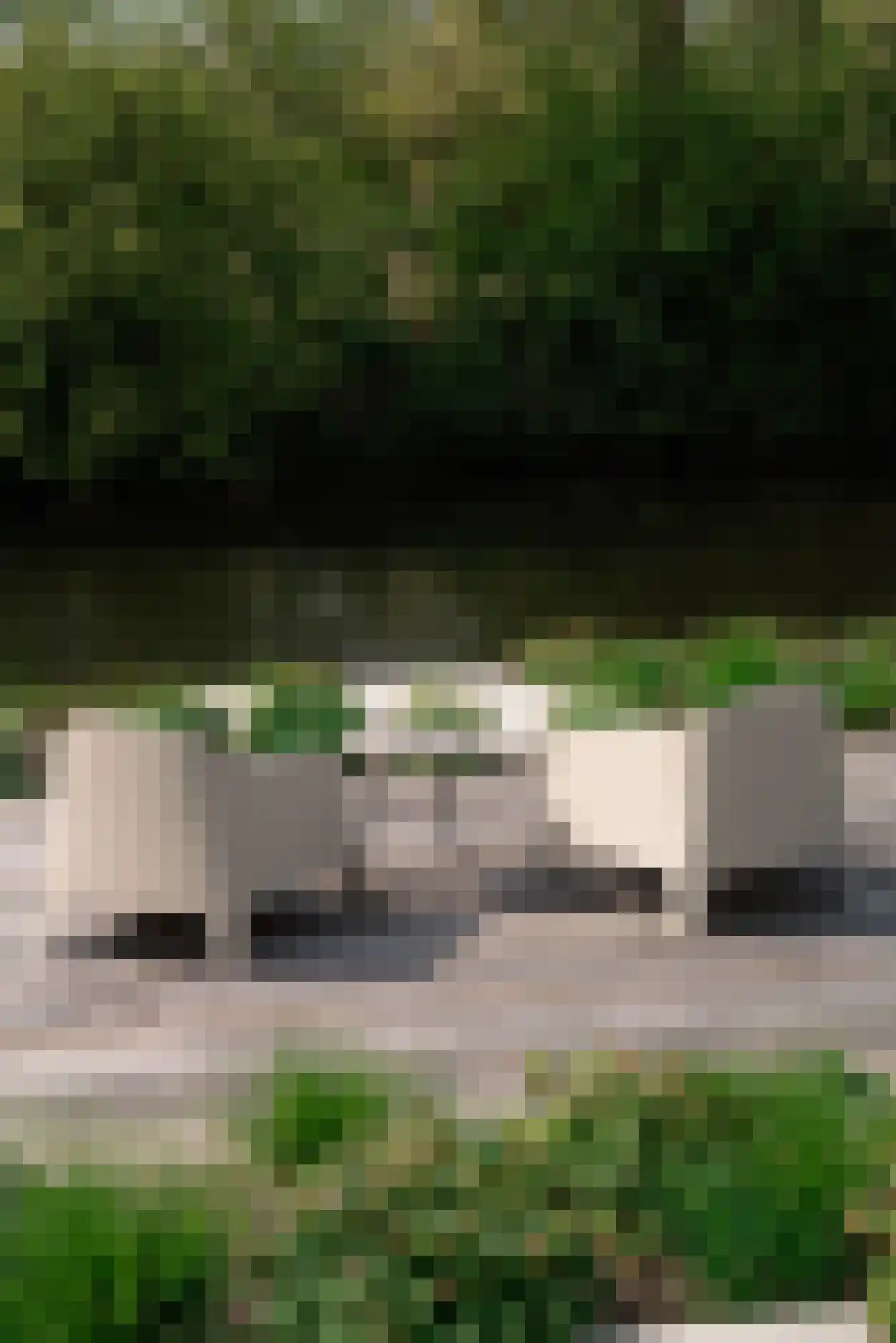 Groenezoom 1 D Badhoevedorp thumbnail 29