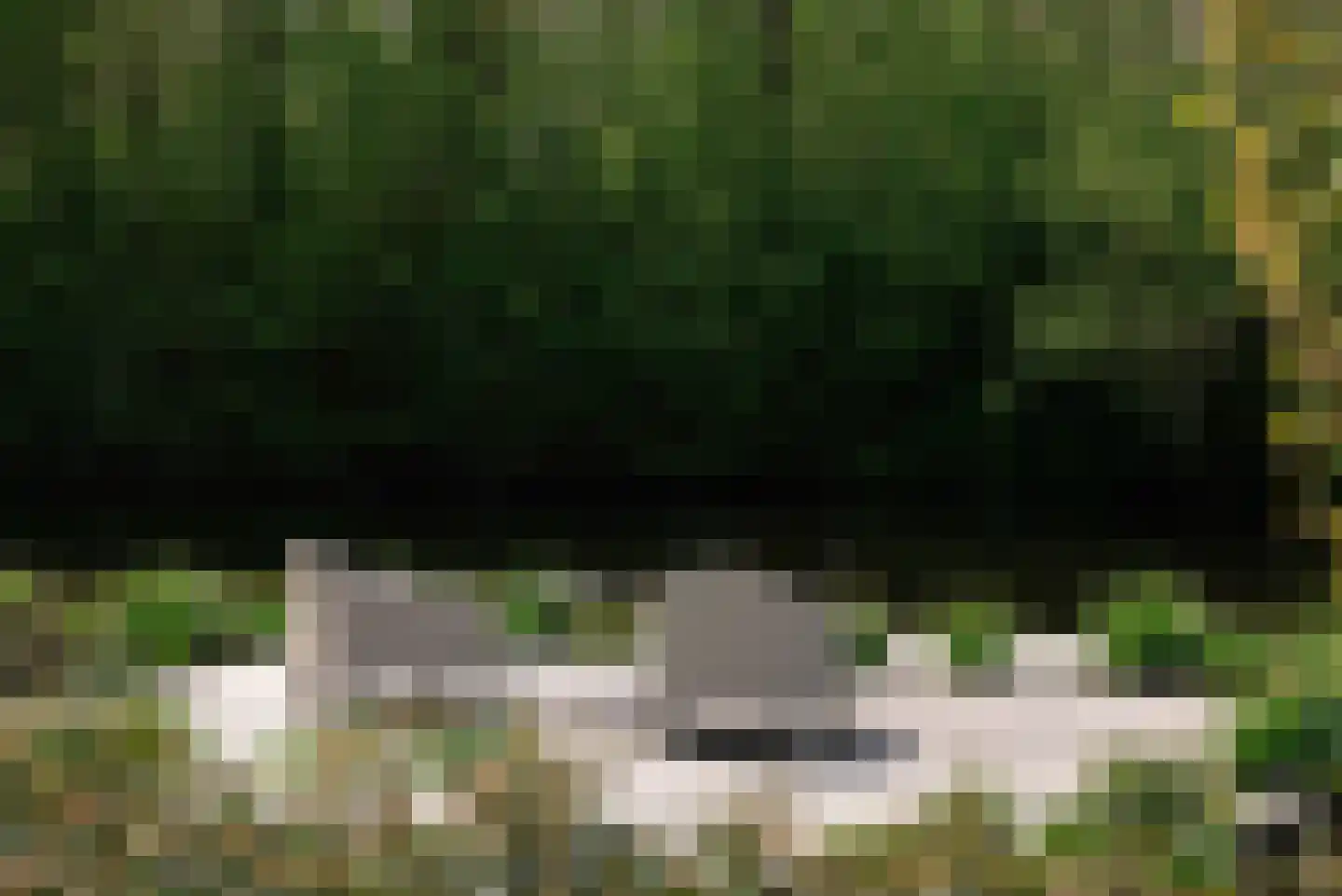 Groenezoom 1 D Badhoevedorp thumbnail 30