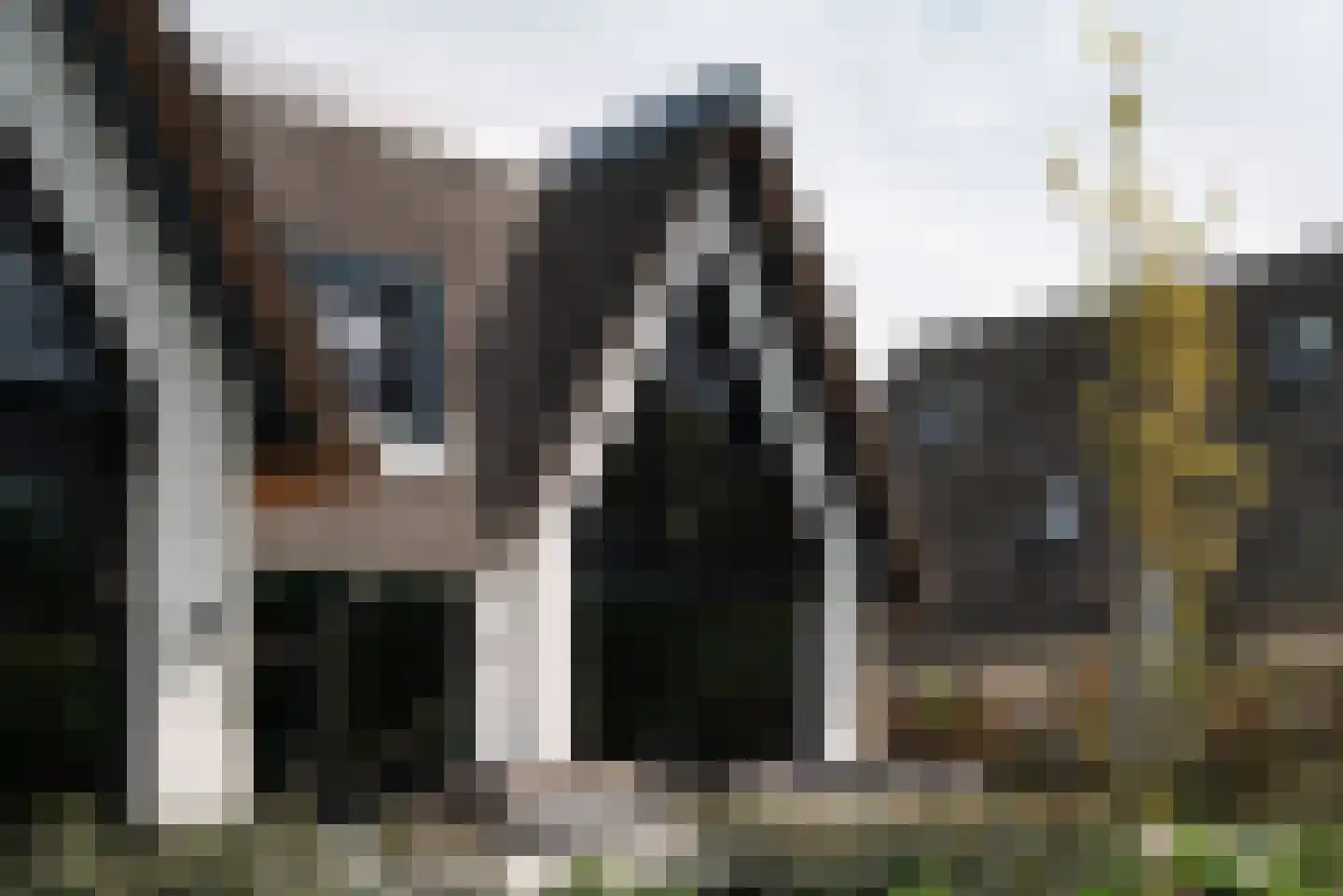 Groenezoom 1 D Badhoevedorp thumbnail 30