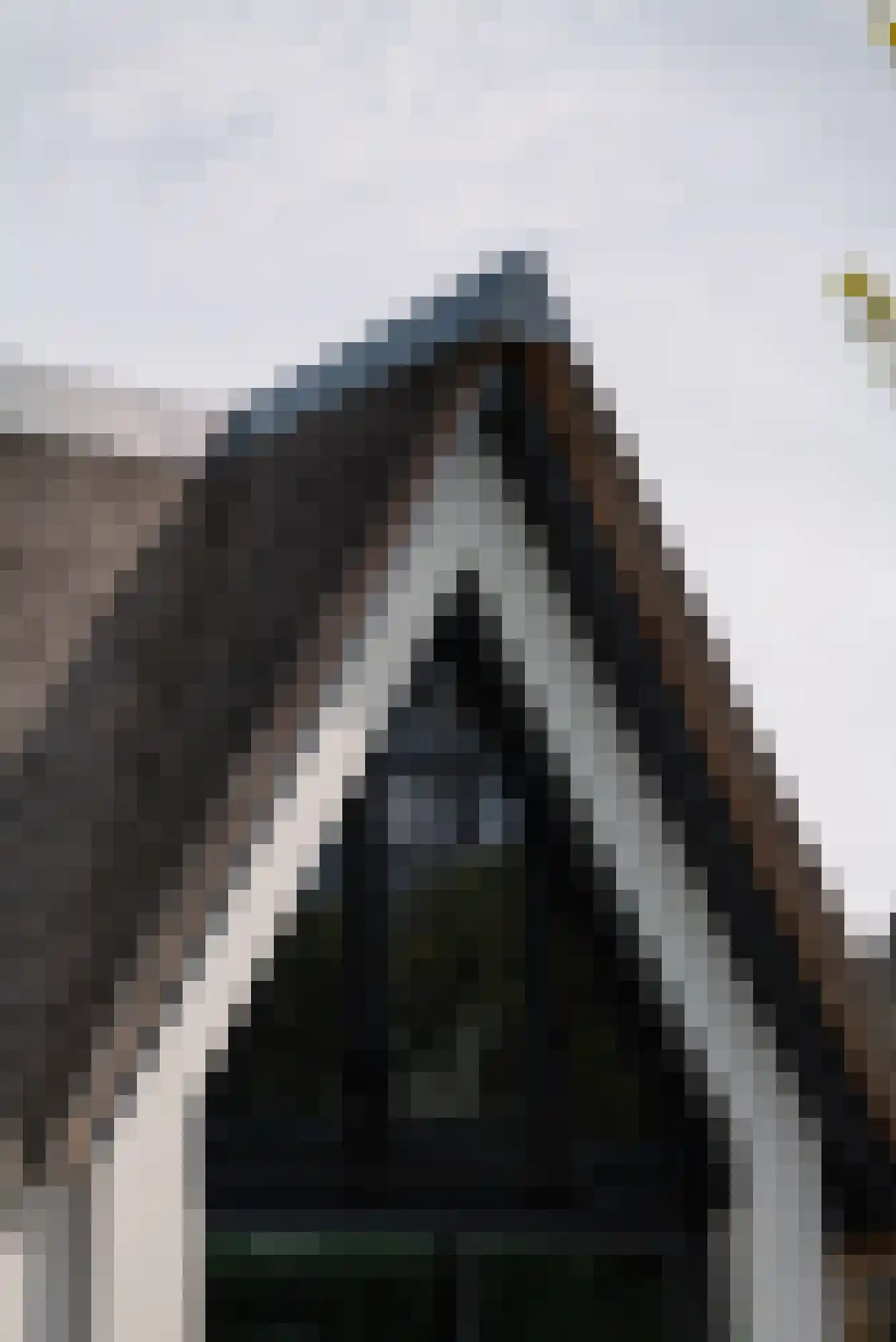 Groenezoom 1 D Badhoevedorp thumbnail 33