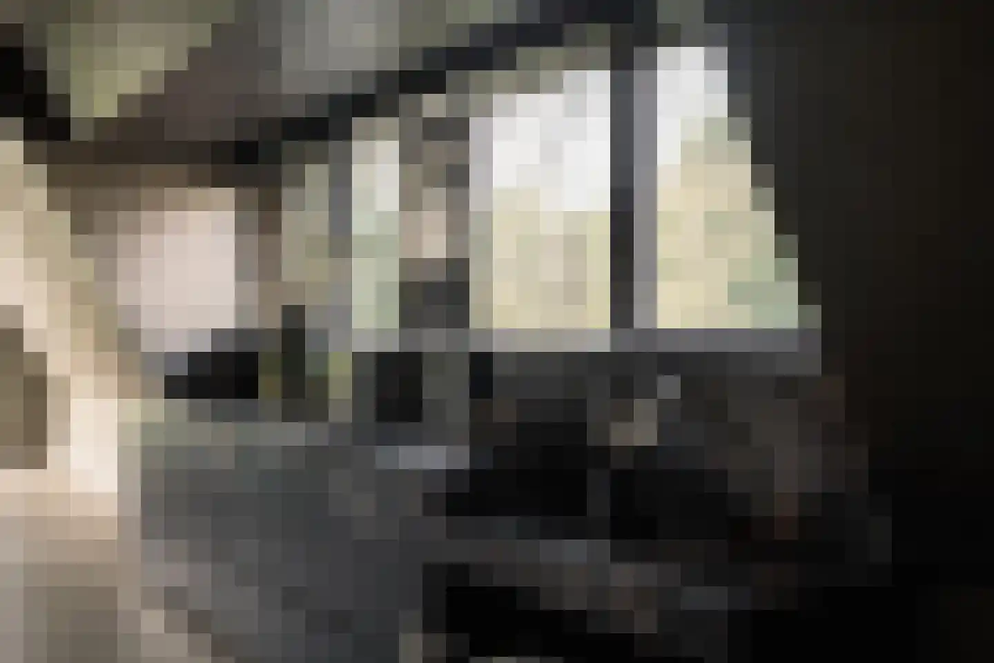 Groenezoom 1 D Badhoevedorp thumbnail 55