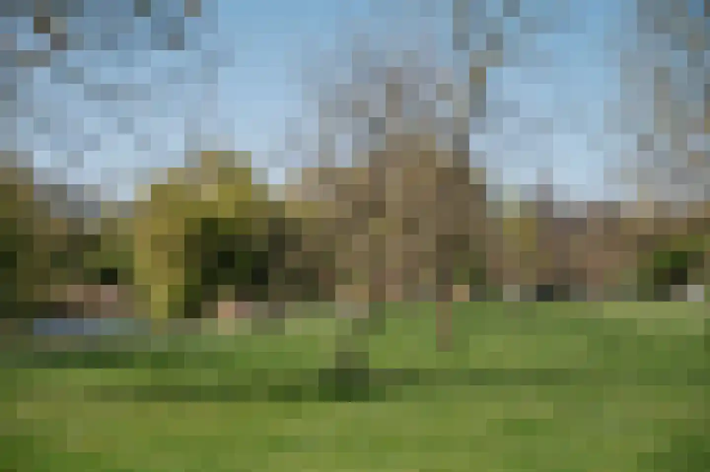 Groenezoom 1 D Badhoevedorp thumbnail 88