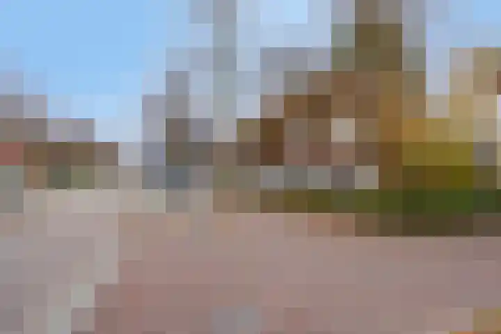 Groenezoom 162 Rotterdam thumbnail 10