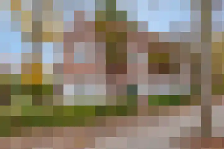 Groenezoom 162 Rotterdam thumbnail 11