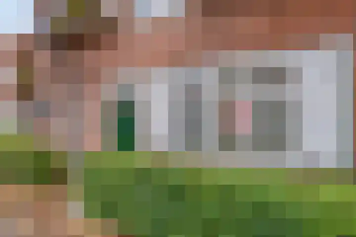 Groenezoom 162 Rotterdam thumbnail 12