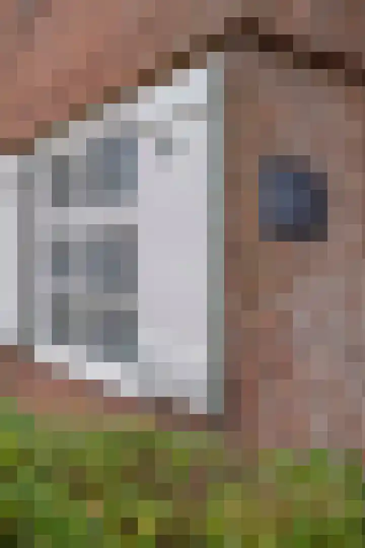 Groenezoom 162 Rotterdam thumbnail 15