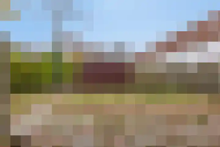 Groenezoom 162 Rotterdam thumbnail 38