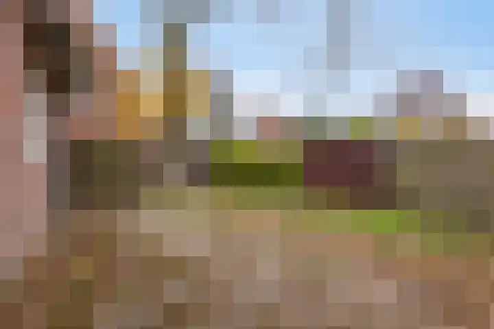 Groenezoom 162 Rotterdam thumbnail 39