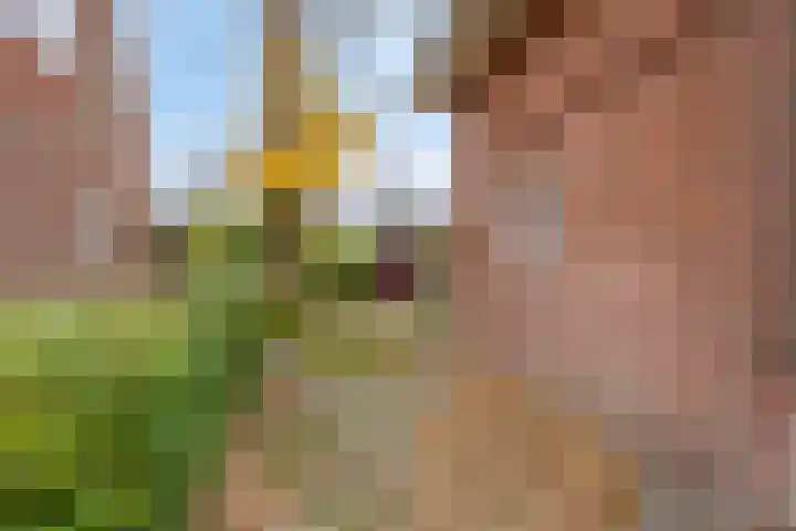 Groenezoom 162 Rotterdam thumbnail 42