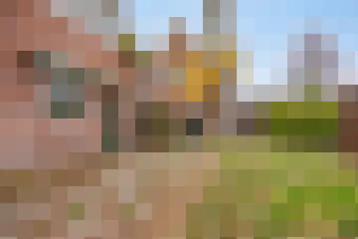 Groenezoom 162 Rotterdam thumbnail 5