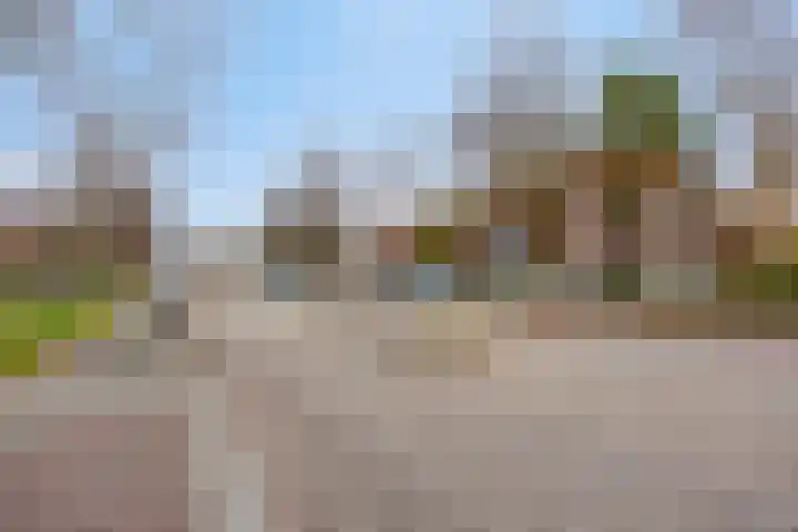 Groenezoom 162 Rotterdam thumbnail 9