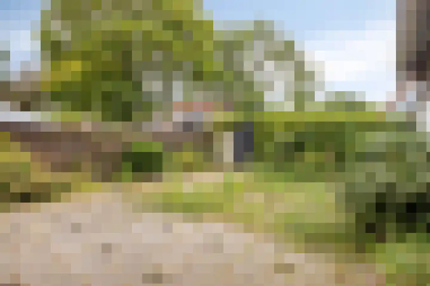 Groenezoom 169 Rotterdam thumbnail 24