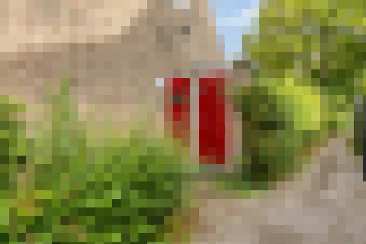 Groenezoom 169 Rotterdam thumbnail 26