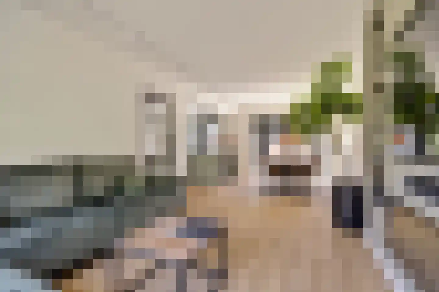 Groenezoom 26 Reeuwijk thumbnail 12