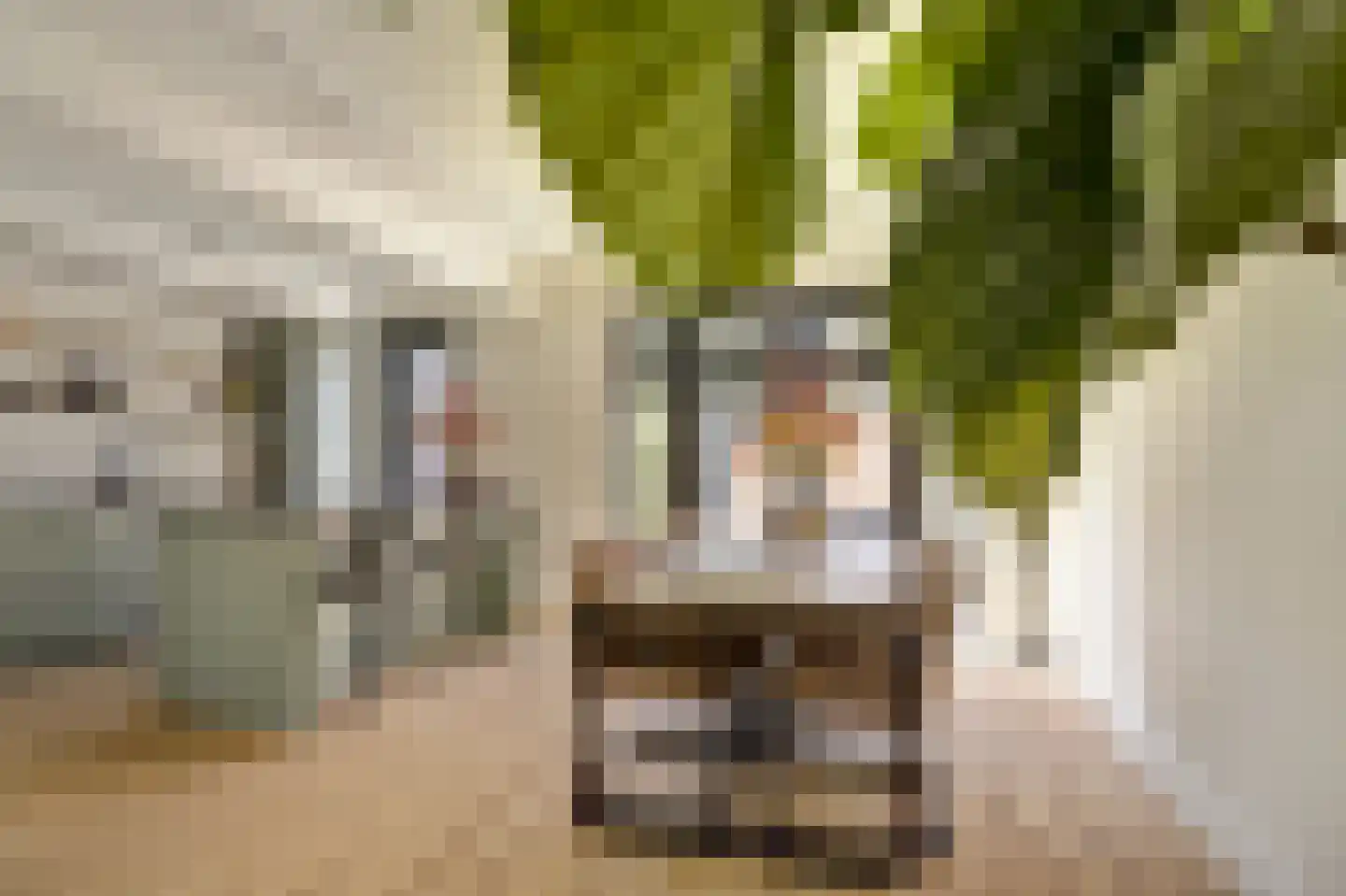 Groenezoom 26 Reeuwijk thumbnail 13