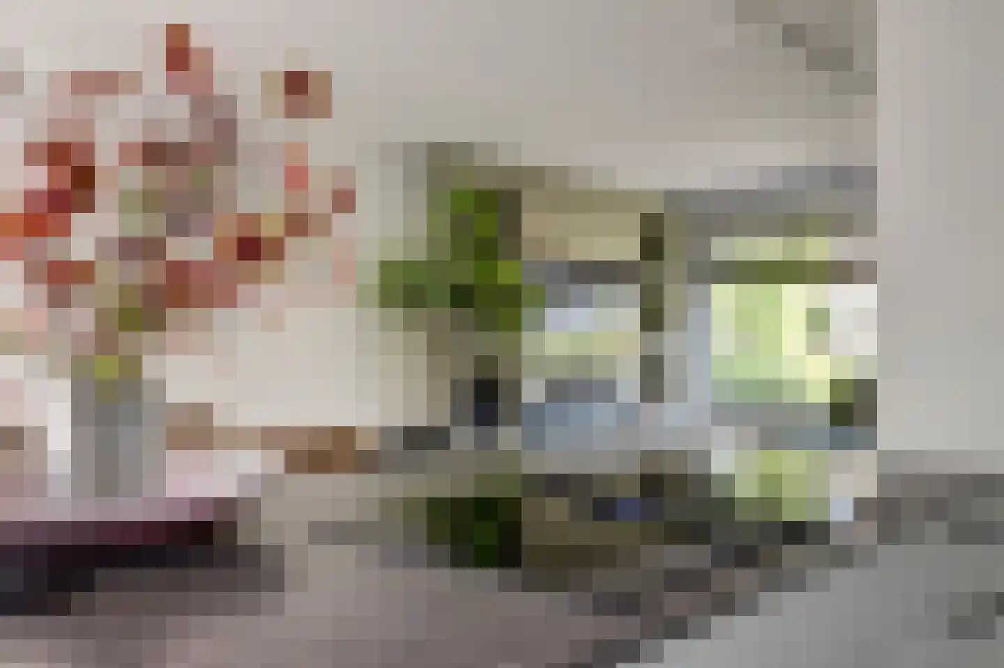 Groenezoom 26 Reeuwijk thumbnail 19