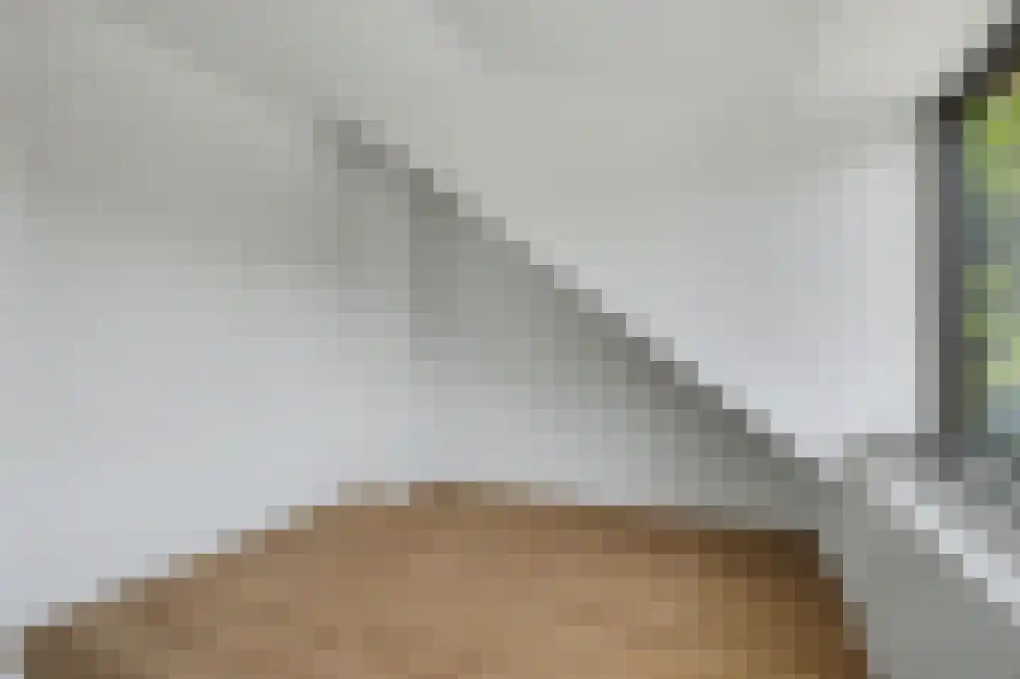 Groenezoom 26 Reeuwijk thumbnail 34