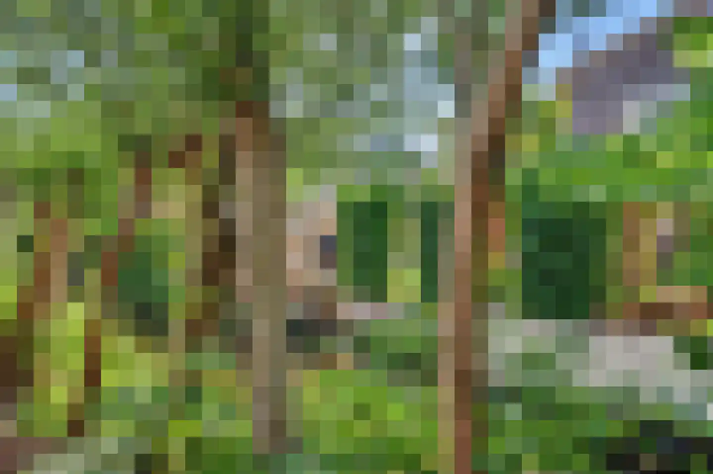 Groenezoom 26 Reeuwijk thumbnail 40
