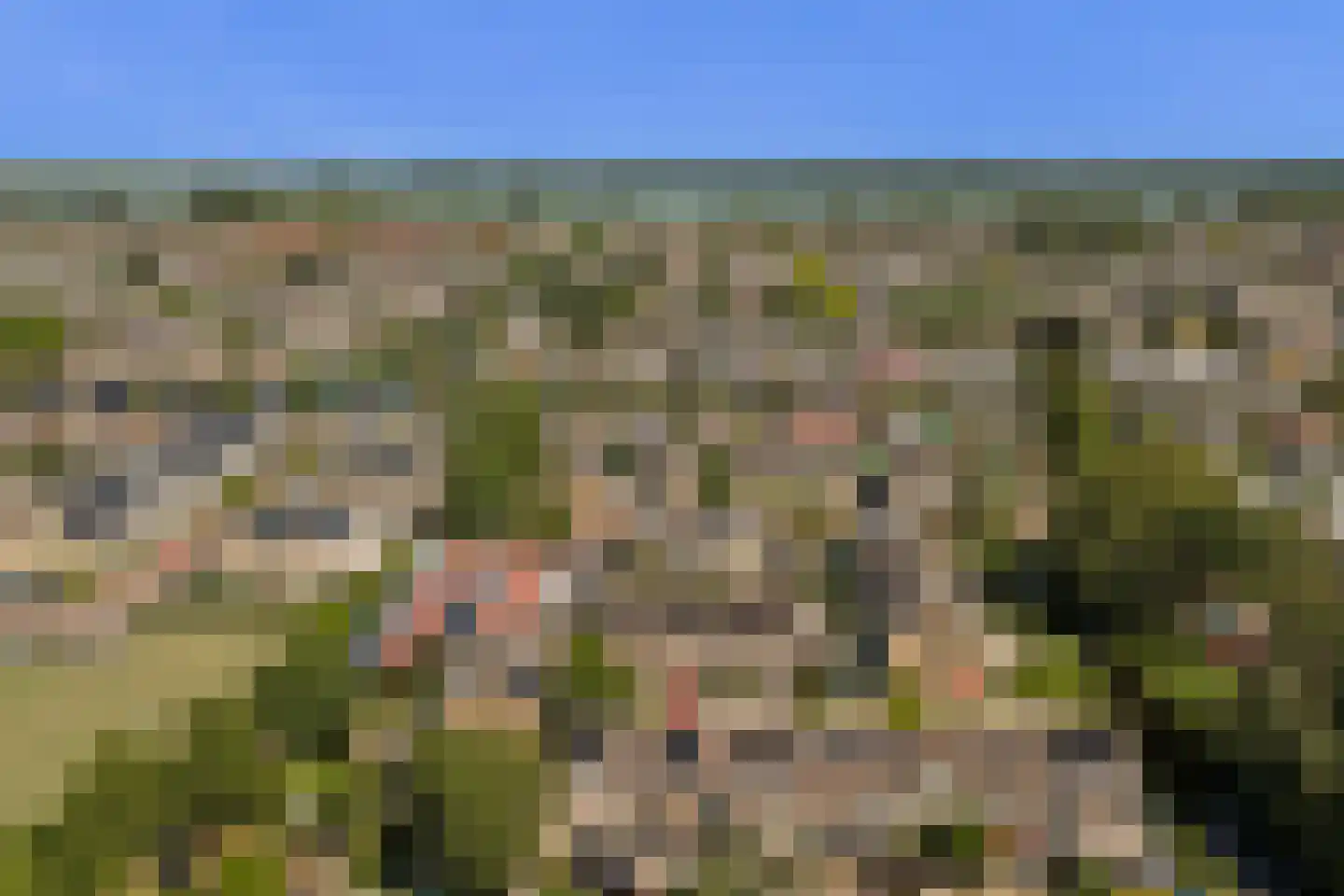 Groenezoom 26 Reeuwijk thumbnail 45