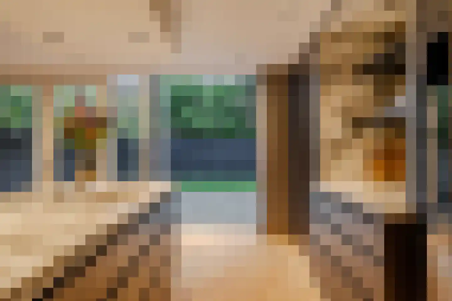 Groenezoom 3 Badhoevedorp thumbnail 12