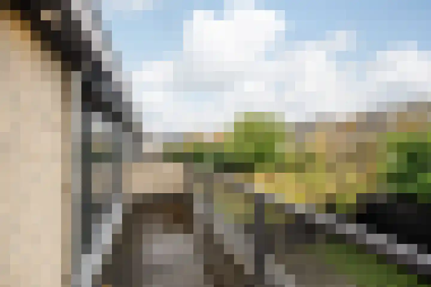 Groenezoom 3 Badhoevedorp thumbnail 20