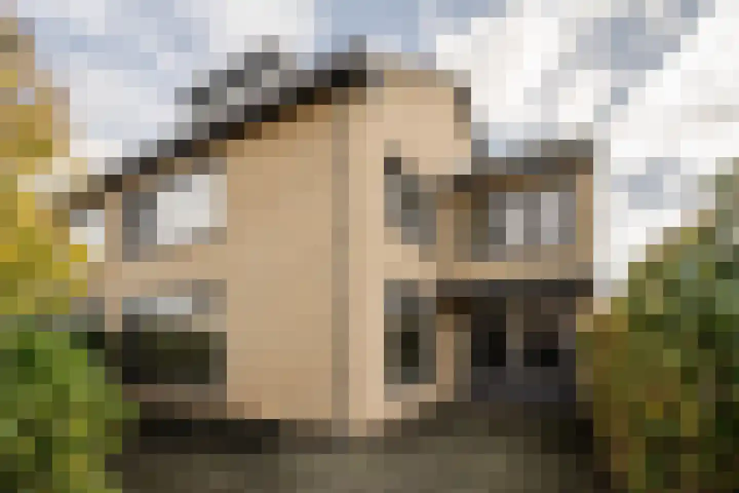 Groenezoom 3 Badhoevedorp thumbnail 38