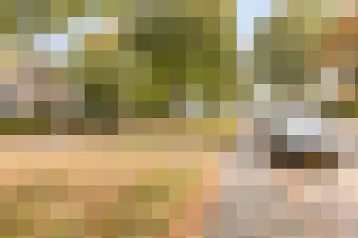 Groenezoom 33 Rotterdam thumbnail 31