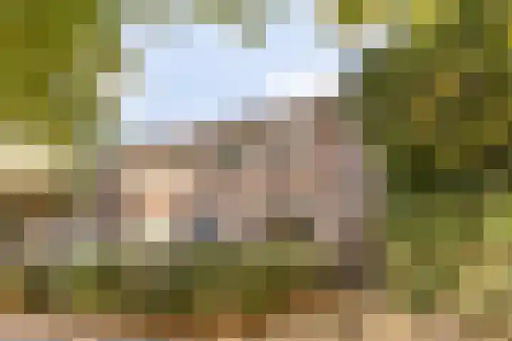 Groenezoom 33 Rotterdam thumbnail 32