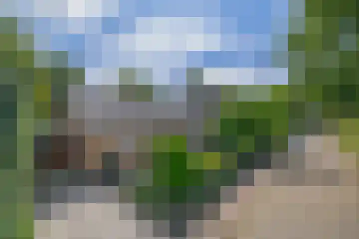 Groenezoom 5 Lekkerkerk