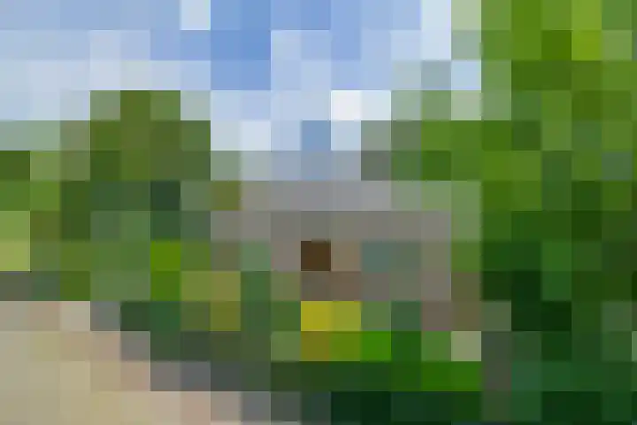 Groenezoom 5 Lekkerkerk thumbnail 27