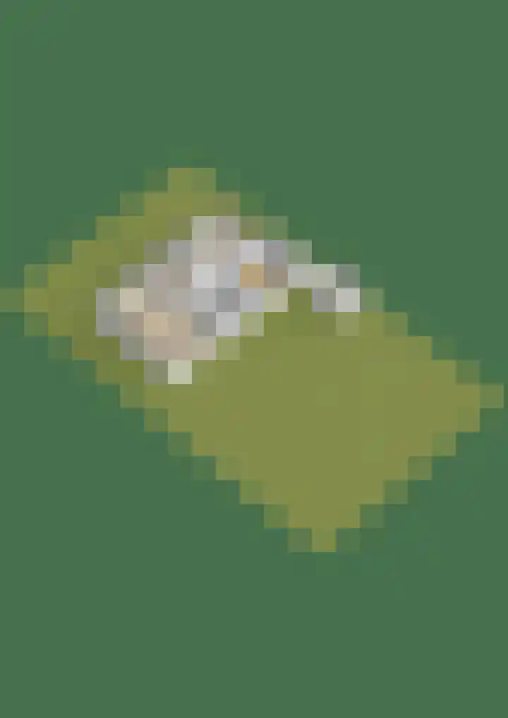 Groenezoom 5 Lekkerkerk thumbnail 30