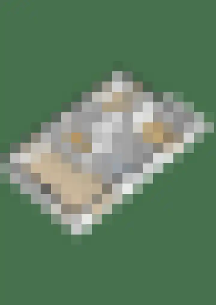 Groenezoom 5 Lekkerkerk thumbnail 32