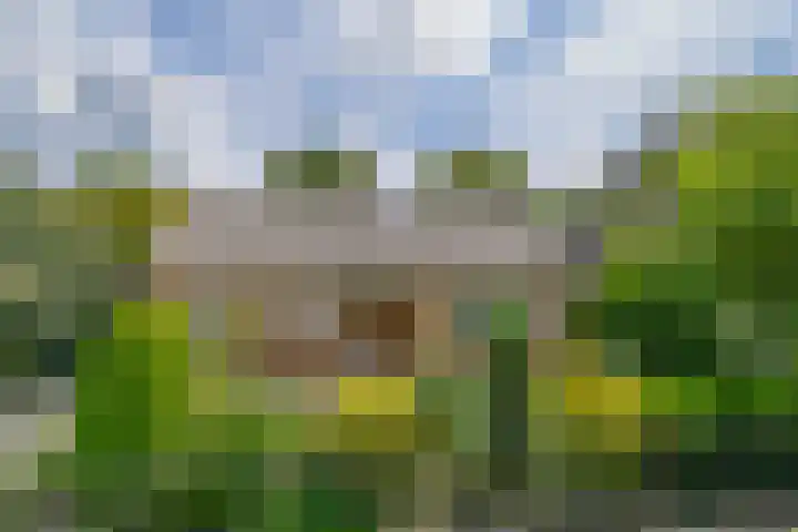 Groenezoom 5 Lekkerkerk thumbnail 7