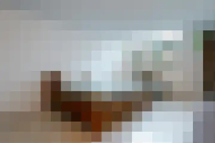 Groenhazengracht 1 B Leiden thumbnail 14