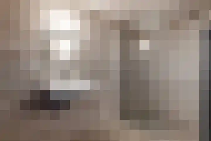 Groenhazengracht 1 B Leiden thumbnail 17