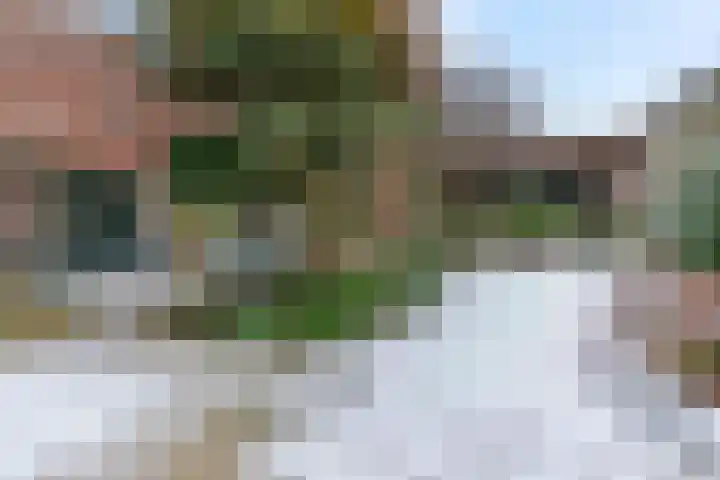 Groenhazengracht 1 B Leiden thumbnail 21