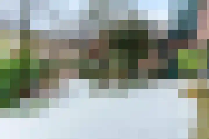 Groenhazengracht 1 B Leiden thumbnail 22