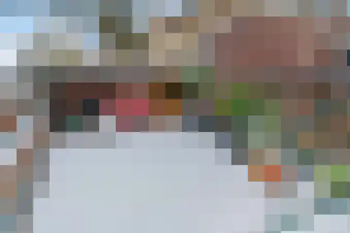 Groenhazengracht 1 B Leiden thumbnail 23
