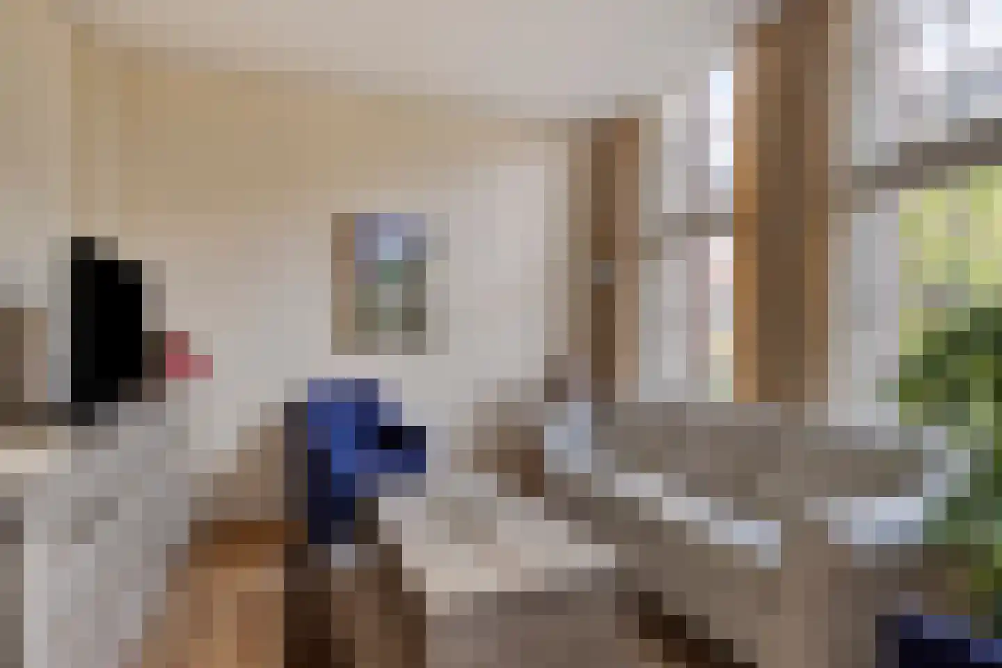 Groenhazengracht 2 Leiden thumbnail 15